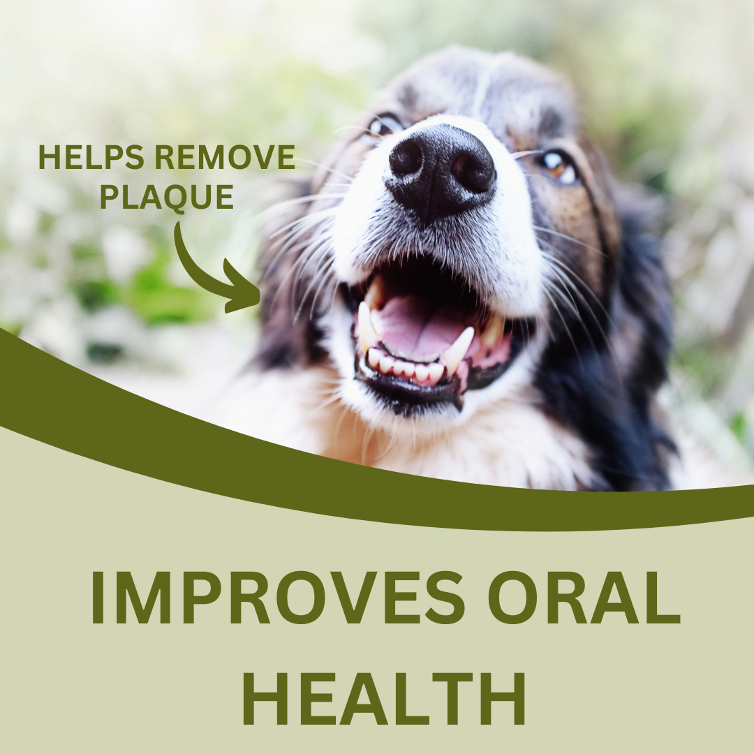 Dried Chicken Feet - 1KG