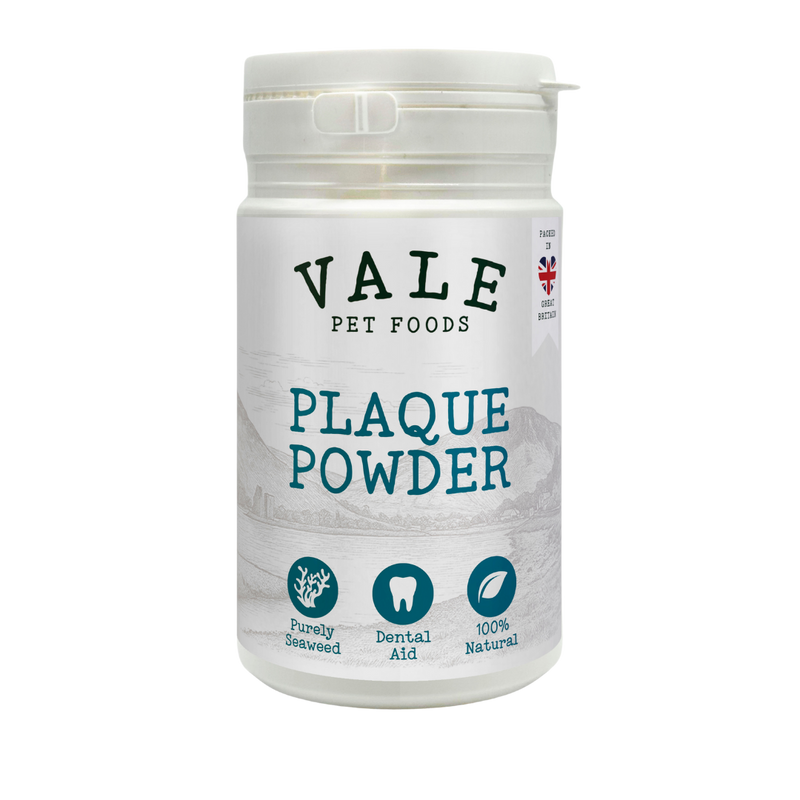 Plaque Powder 180g (Dental Edition)