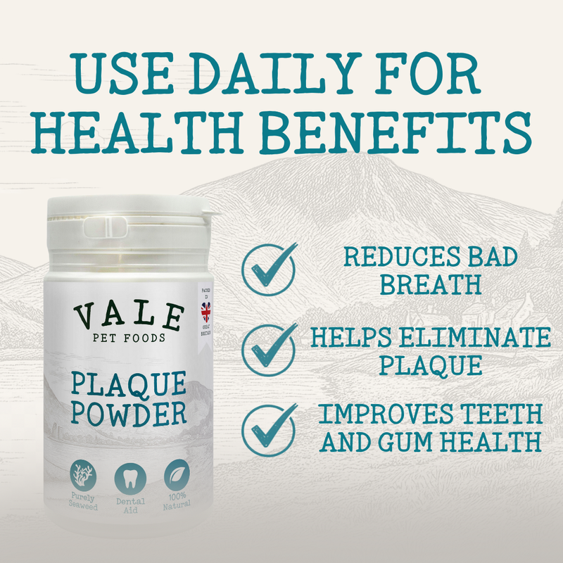 Plaque Powder 180g (Dental Edition)