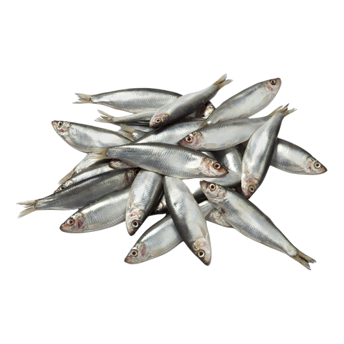 Whole Frozen Sprats - 1KG
