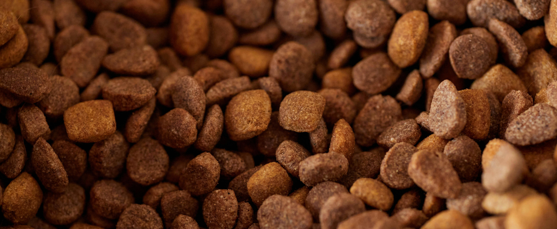 A Guide To Our Dried Food