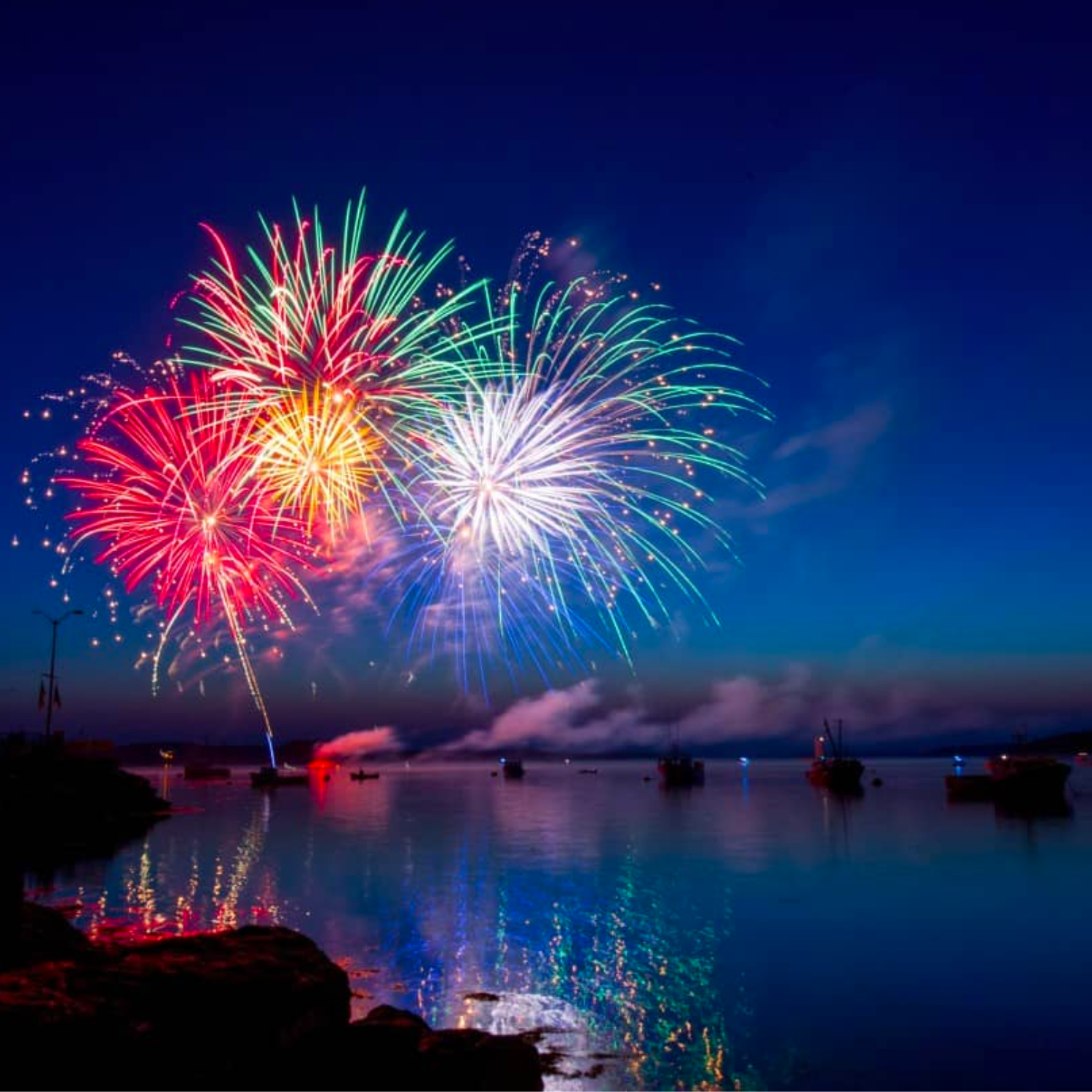 KEEPING YOUR DOG CALM ON BONFIRE NIGHT | Vale Pet Foods