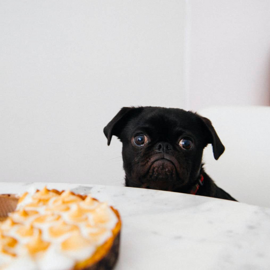 WEIGHT MANAGEMENT