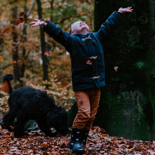 HOW TO STAY SAFE AND SEEN ON WINTER WALKS | Vale Pet Foods