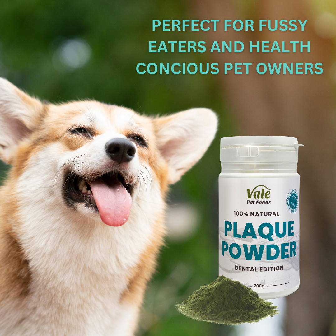 Powder for dog food online