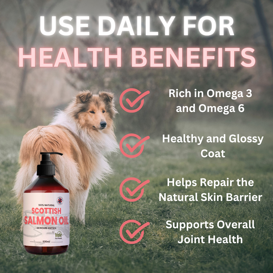 Natural Scottish Salmon Oil For Dogs 500ml – Vale Pet Foods