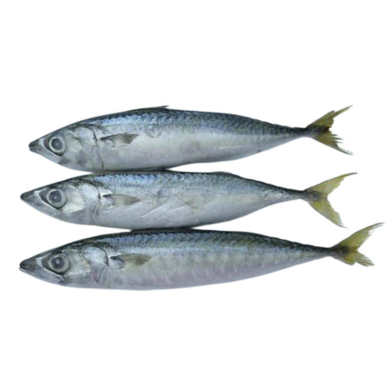 Whole Frozen Mackerel - 1KG
