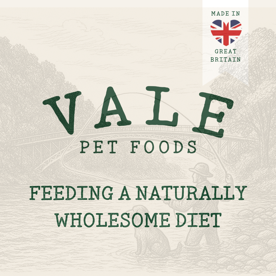 Scottish Salmon Oil 500ml