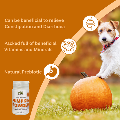 Probiotics Will Canned Pumpkin Help My Dogs Constipation Canned