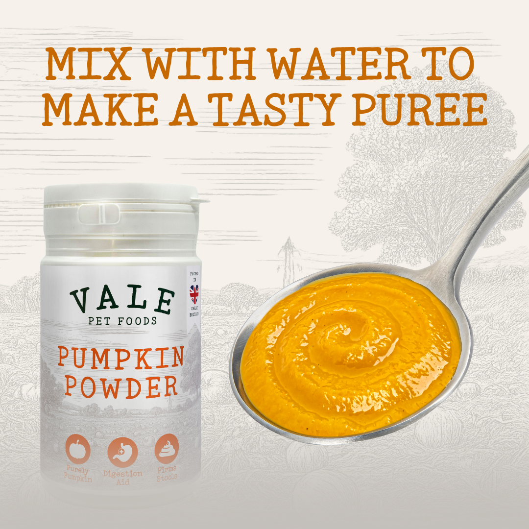 Pumpkin Powder 180g