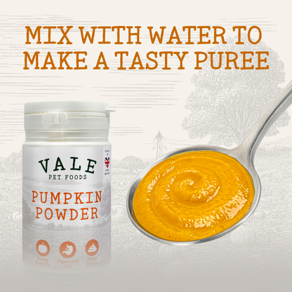 Pumpkin Powder 180g