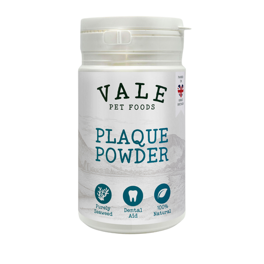 Plaque Powder 180g (Dental Edition)