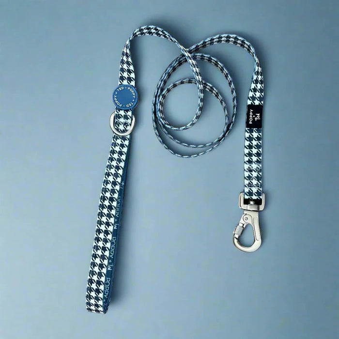Leads