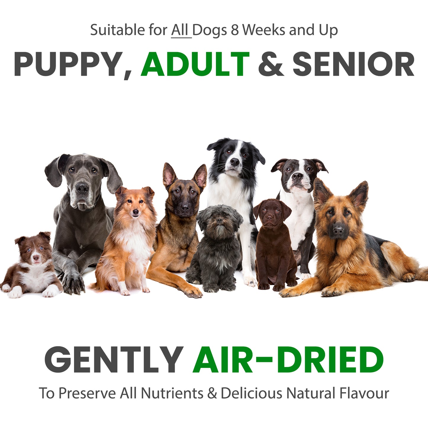 Poultry Bites Dog Treats- 500g
