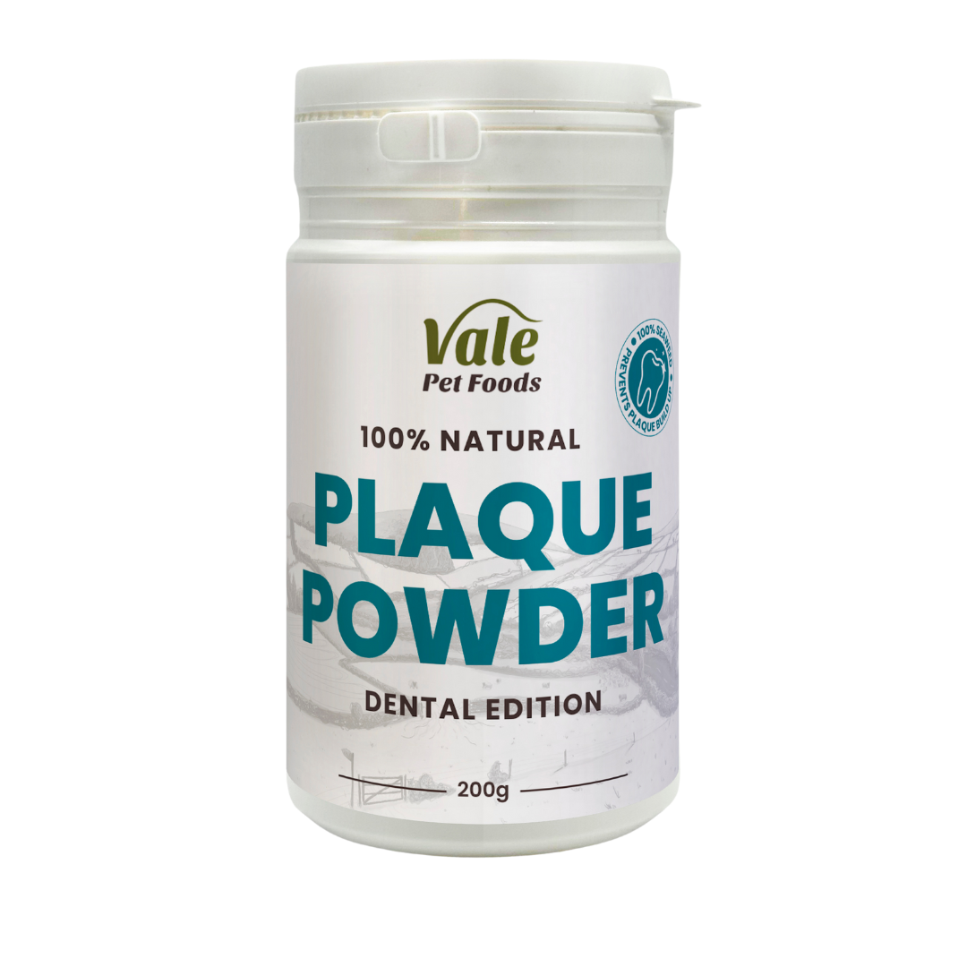 Plaque Powder 200g (Dental Edition)