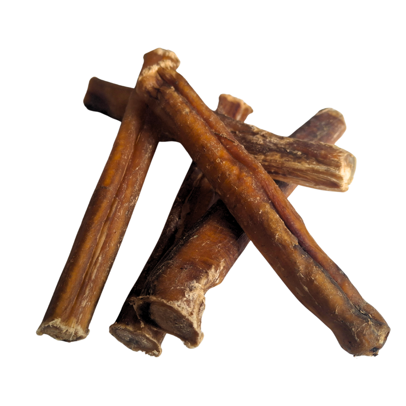 Beef Pizzle Sticks - 10 Pack
