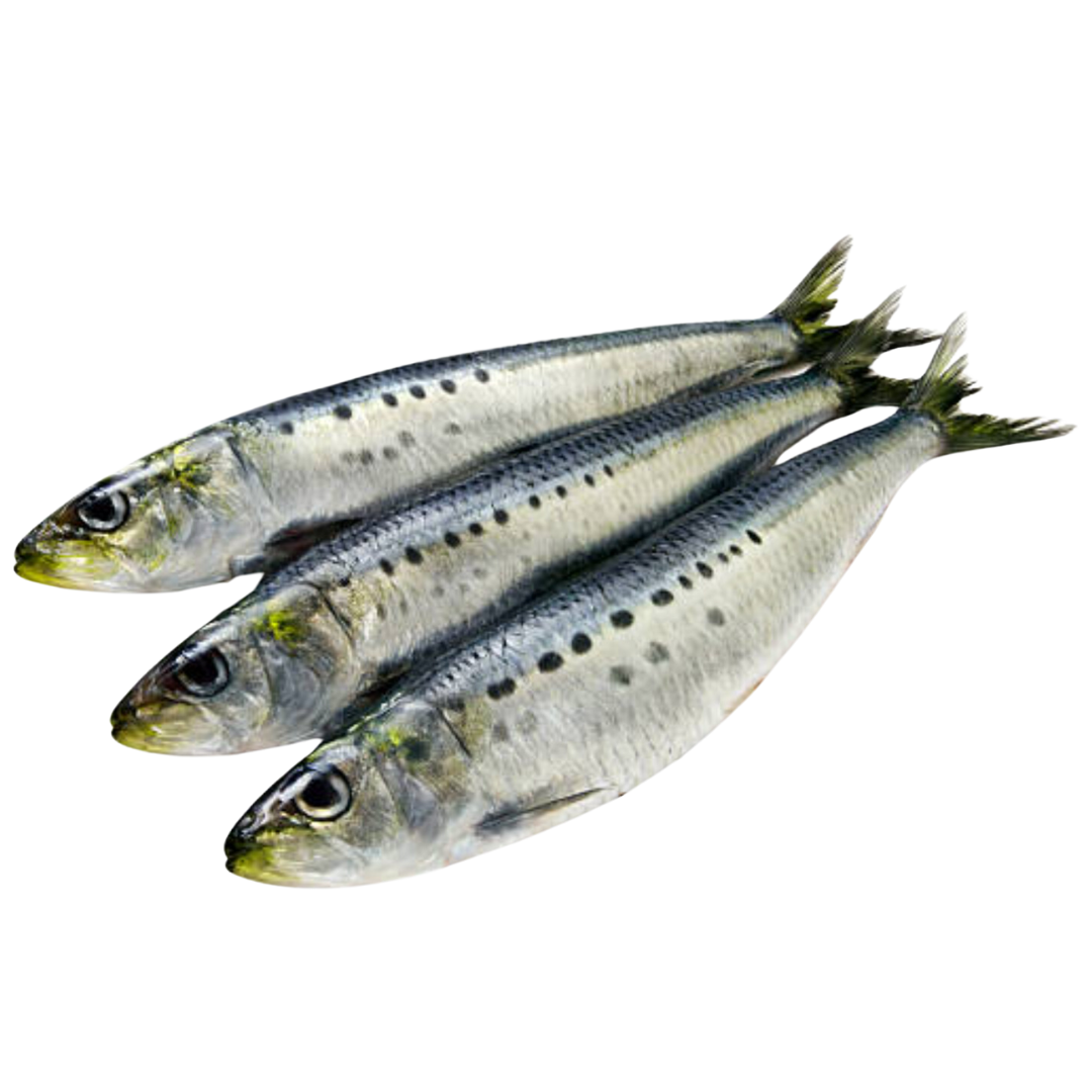 Whole Frozen Sardines - 1kg